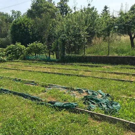 Vacanze ヴィラ Pisano