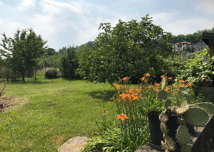Vacanze Pisano